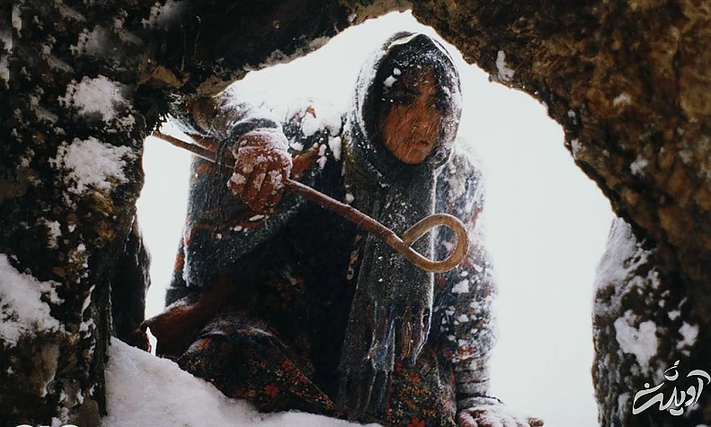 چند فیلم ایرانی که فقط همین امروز میشود دید